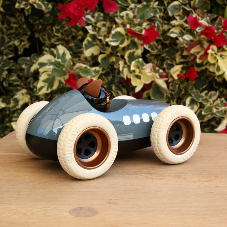 Egg Roadster Scrambler Car Toy - Grey/Blue