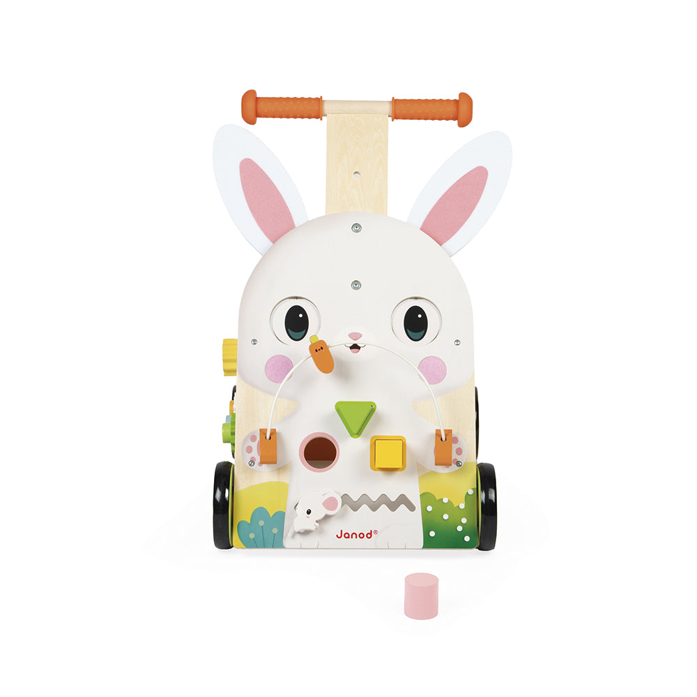 Farm Multi-Activity Baby Walker