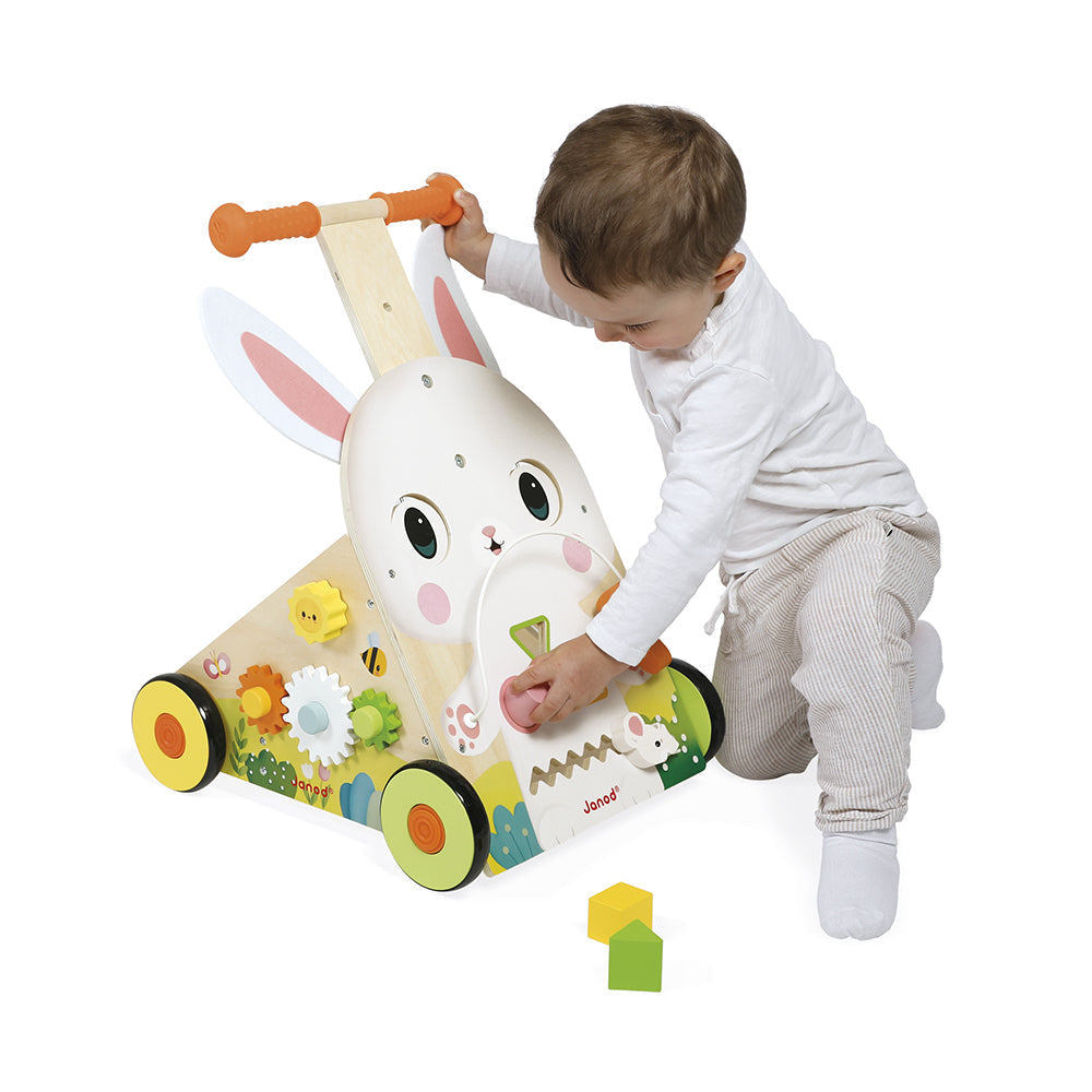 Farm Multi-Activity Baby Walker