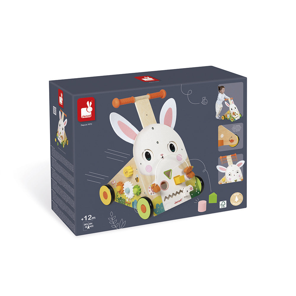 Farm Multi-Activity Baby Walker