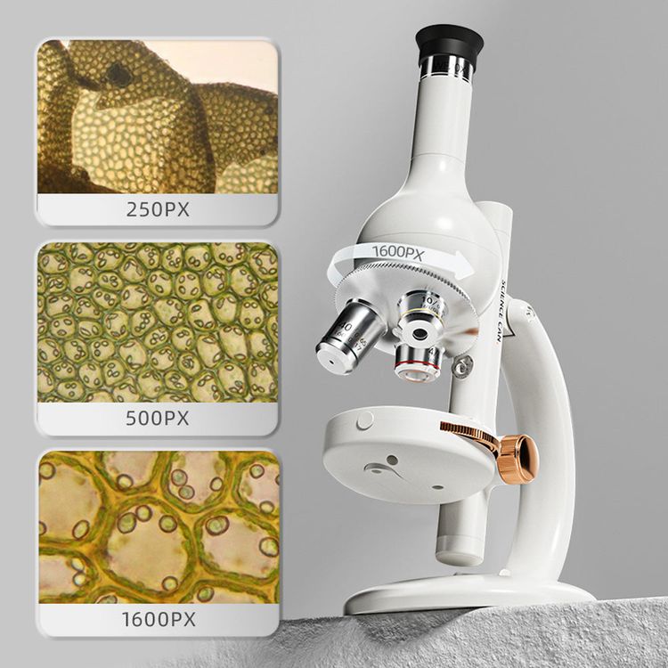 Microscope Lab Edition