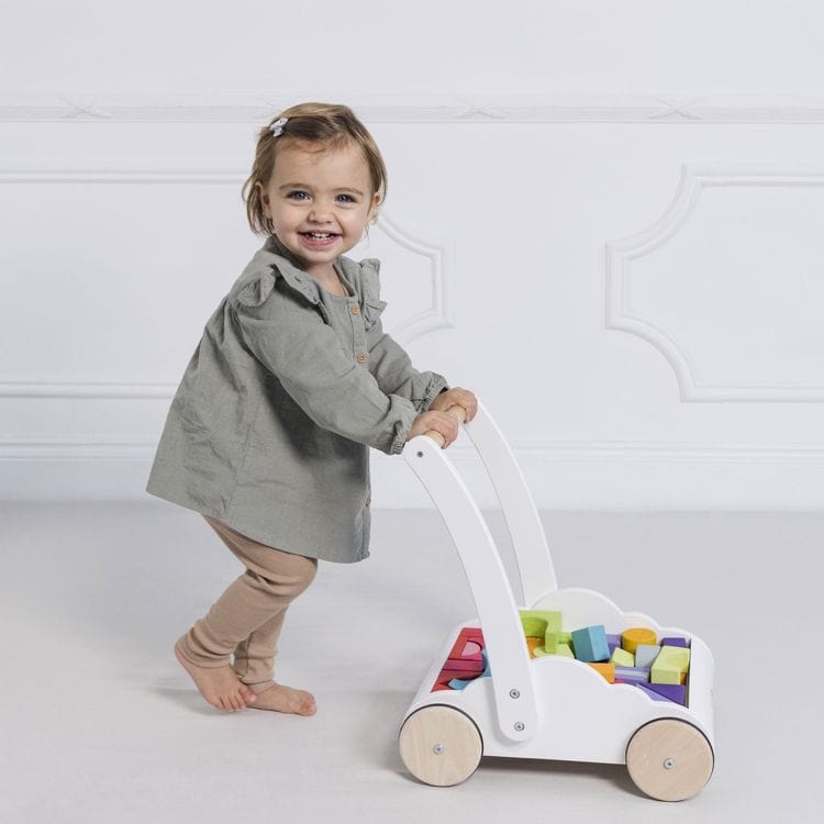 Rainbow Baby Walker & Puzzle - 45 Blocks