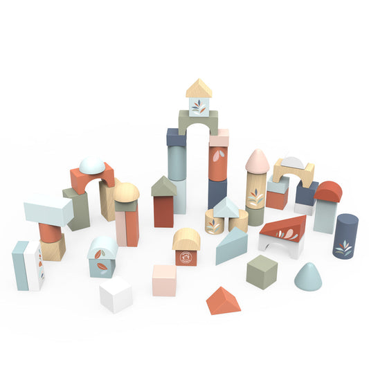 Wood Building Blocks Set of 50