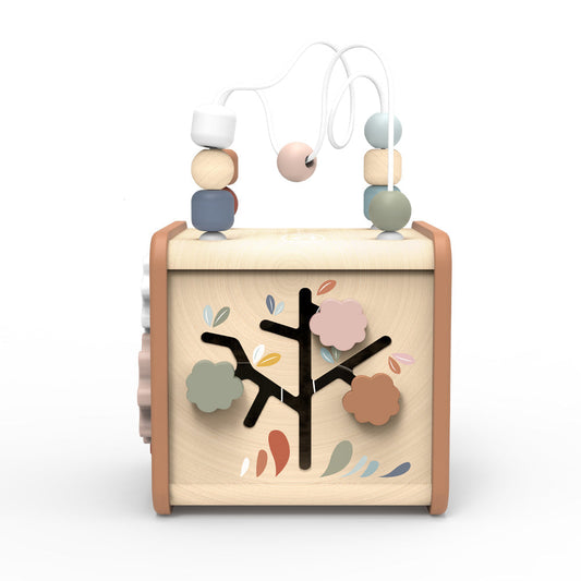 5-in-1 Activity Cube